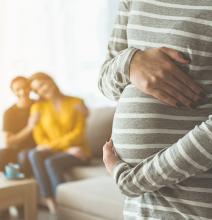Grossesse et maternité : du sujet au système familial