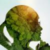 Penser la crise écologique